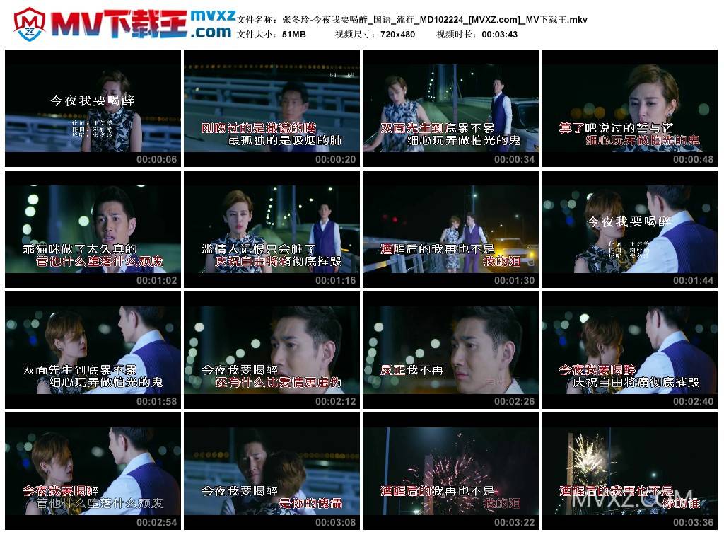 张冬玲-今夜我要喝醉_国语_流行_MD102224